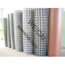 1/2 ", 3/4", 1 ", 2", 3 ", 4" geschweißte Mesh Rolls, Panels verkaufen